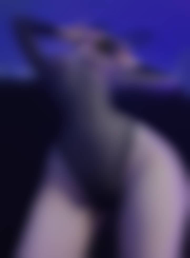 8fb97618a161f88963e90e3c5017dcb6