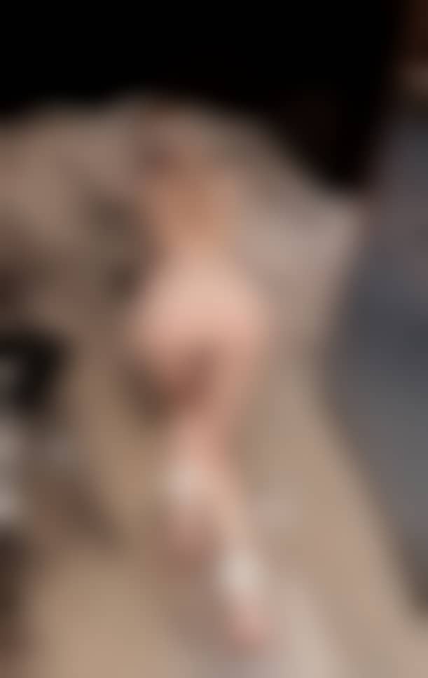 b1b4e79fbbeae9bfed11194c9ed415dd