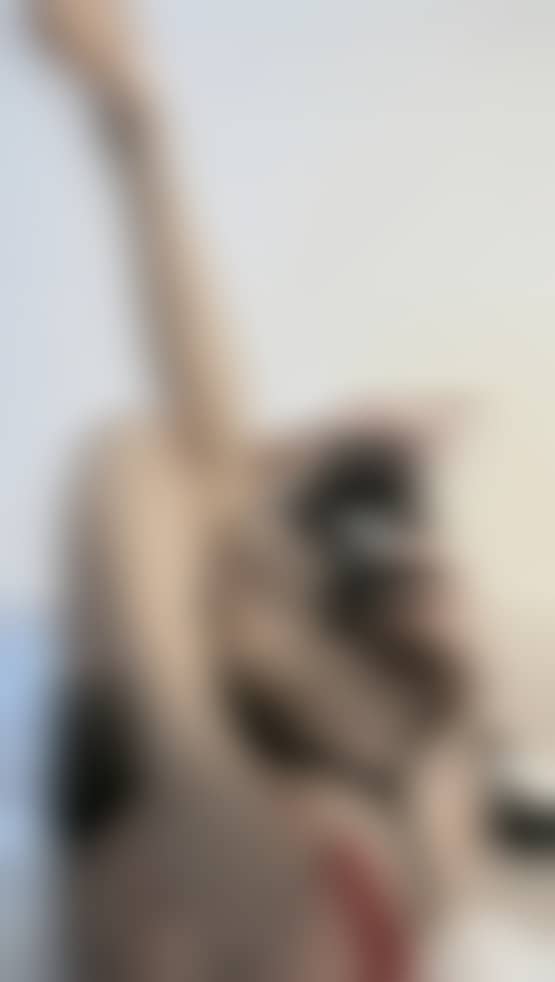 c98fab832e1d382ff980b1b826ebc21f