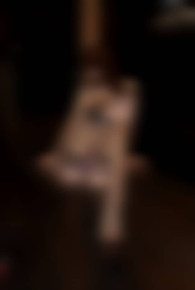 d2372baaf5c5833054d2b25b2edc4570