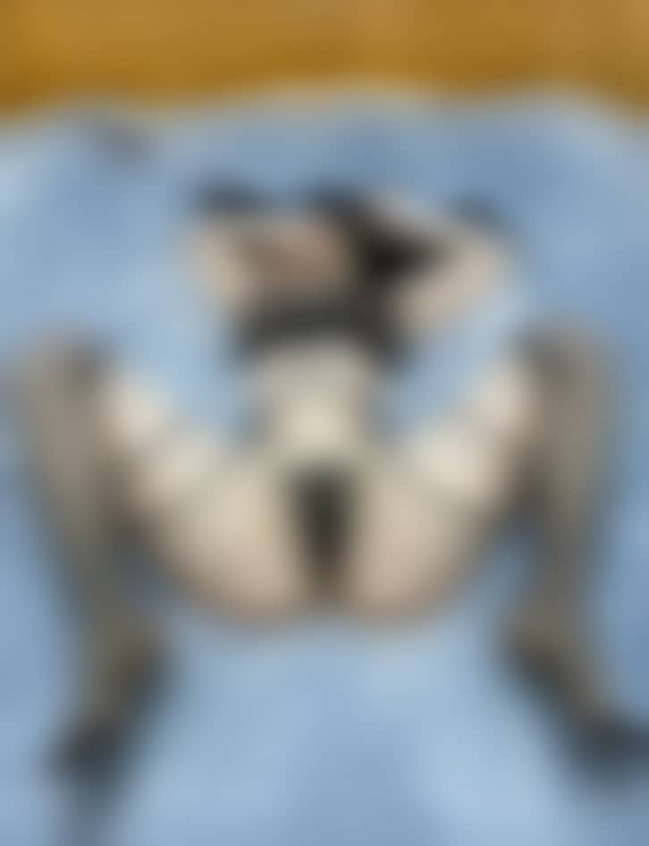 d3704a552072aefd2d9eda56c8134dbb