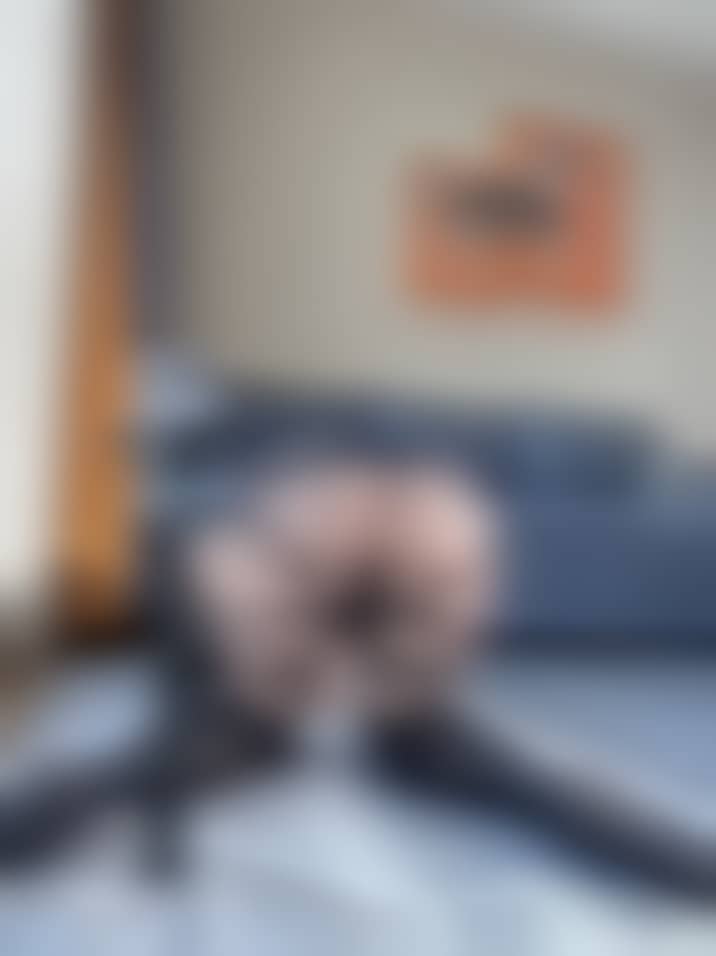 ddb07a217da8760483209a7d8115bc3b