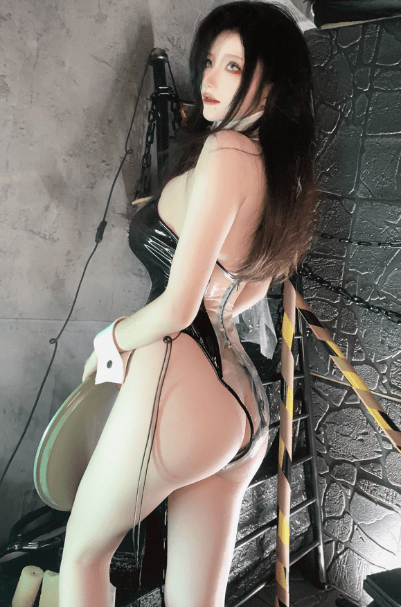 起司块wii–NO.030 透明兔女郎[33p-85MB]