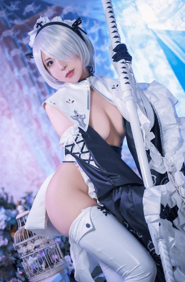 虎森森 – 2B女仆 [15P-78MB]