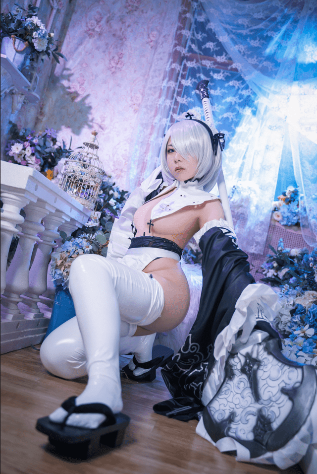 虎森森 – 2B女仆 [15P-78MB]