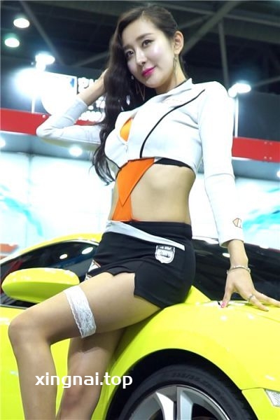 [展会]韩国车展饭拍精选合集打包[411V/143G]