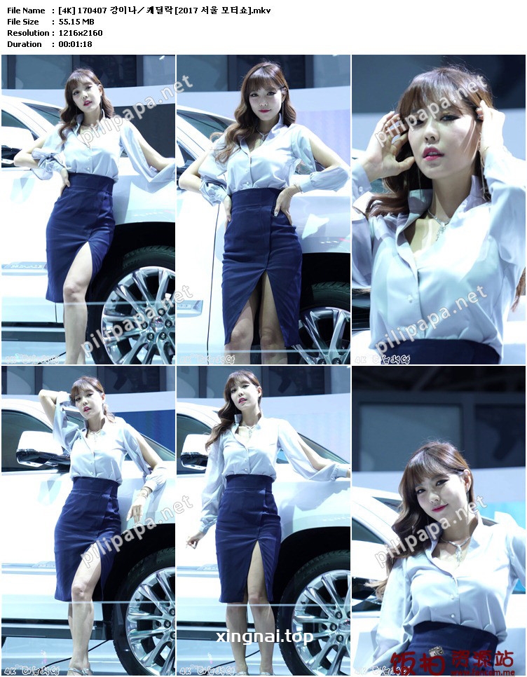 [合集]2017 首尔车展Show showgirl视频290视频合集