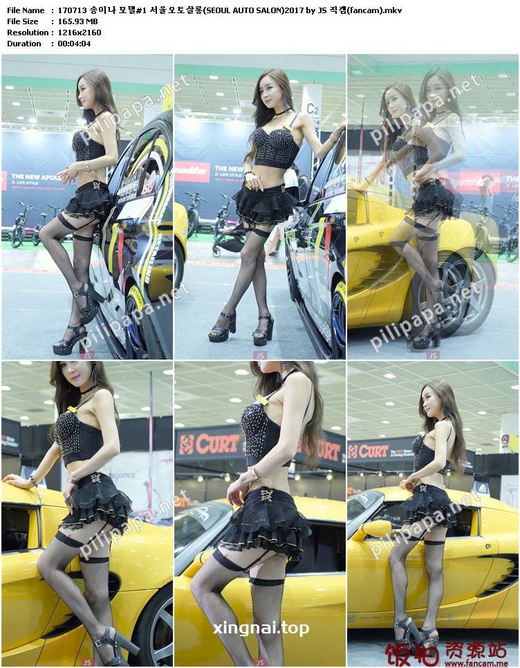 [合集]2017首尔汽车沙龙车模showgirl视频212视频合集