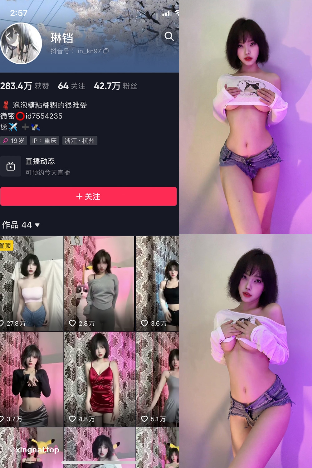 抖音 琳铛 微密圈  NO.017期 【12P1V】最新至：2023.6.9