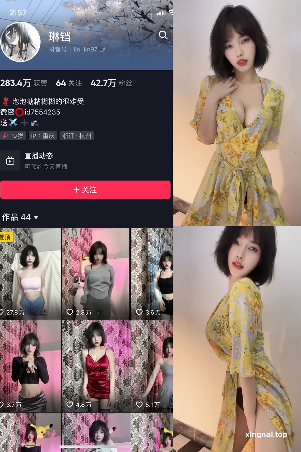 抖音 琳铛 微密圈  NO.016期 【10P3V】最新至：2023.6.7