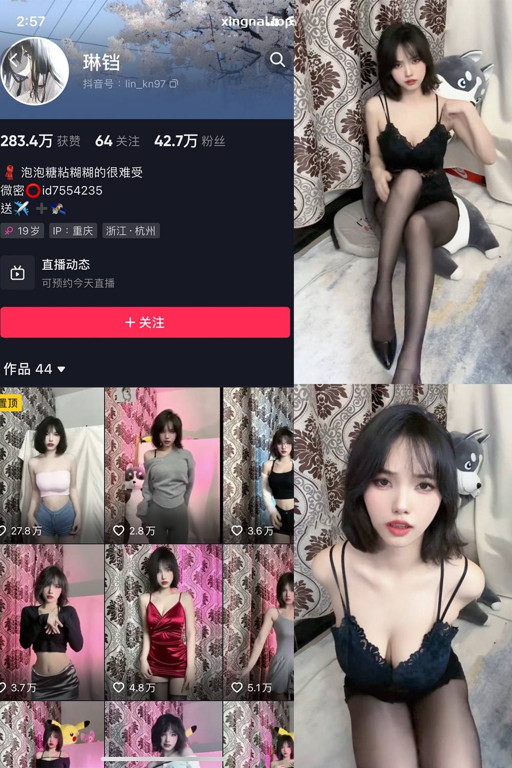 抖音 琳铛 微密圈  NO.003期 【33P】