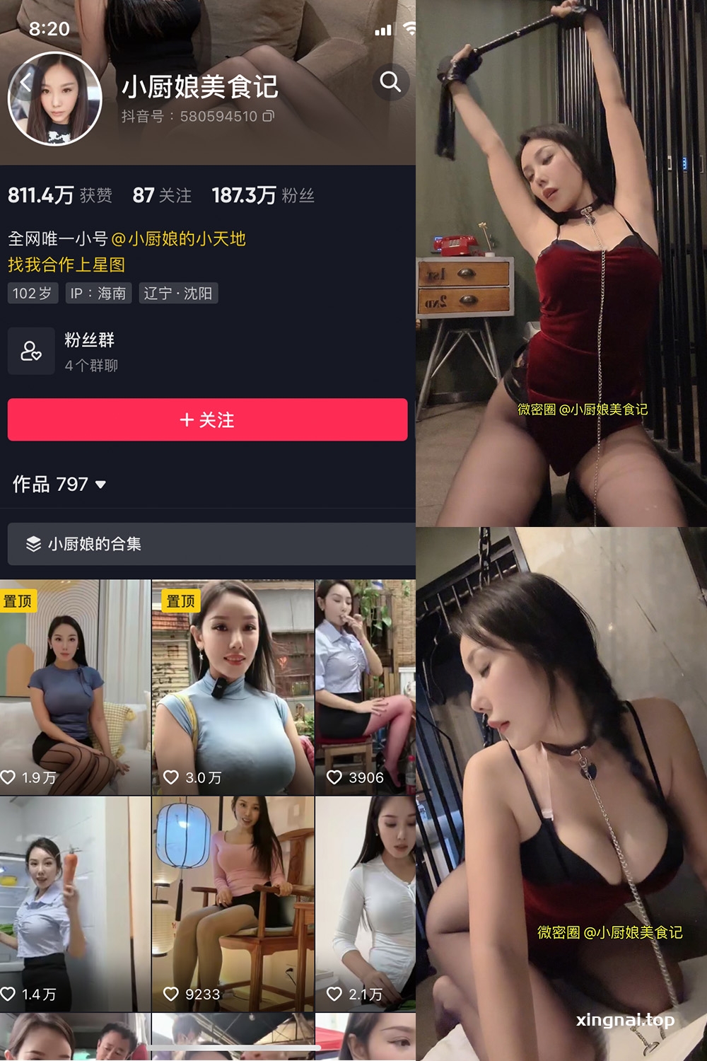 抖音 小厨娘美食记 微密圈  NO.011期 【10P】最新至：2023.6.11