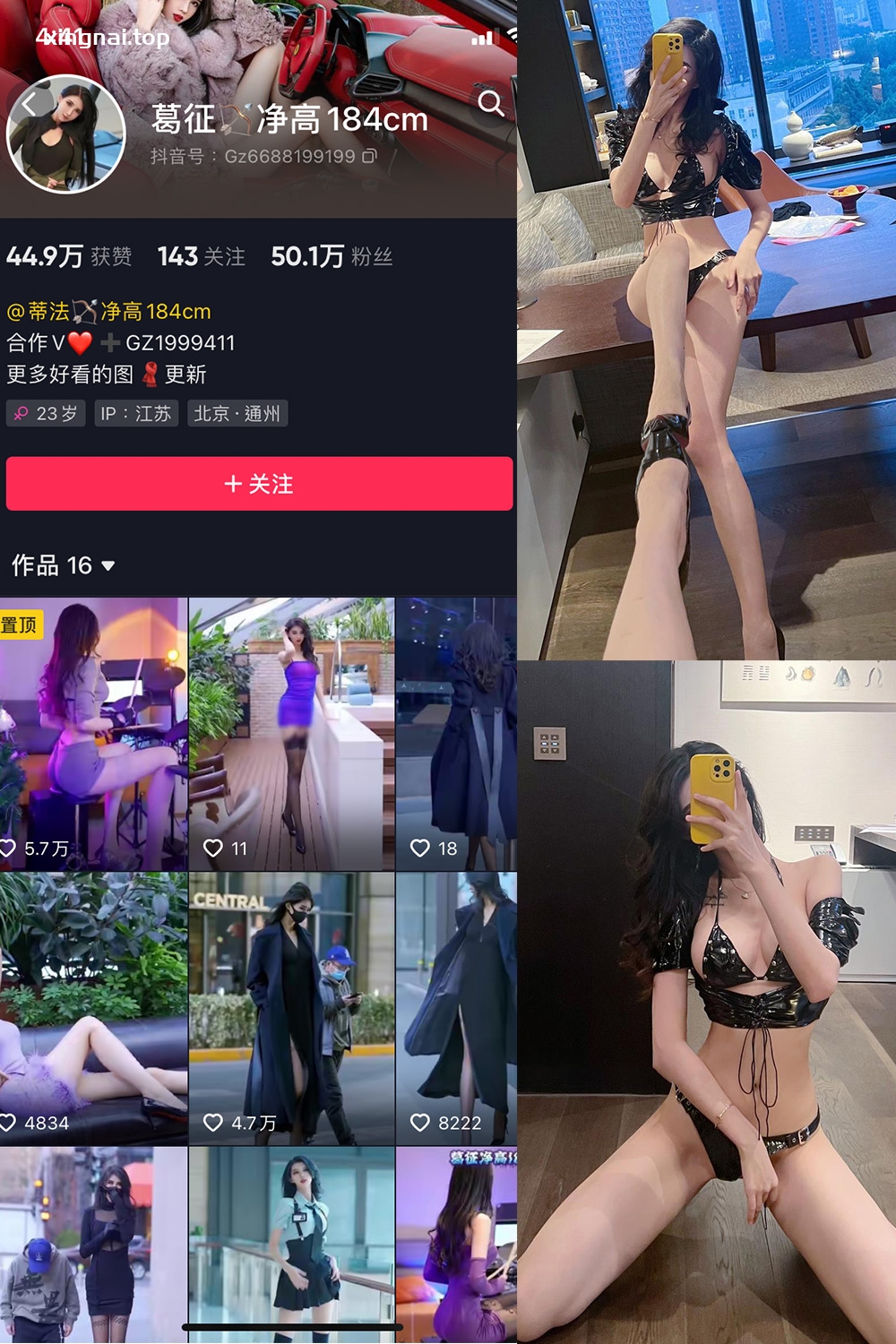 抖音 葛征 微密圈  NO.044期 【20P】最新至：2023.6.26