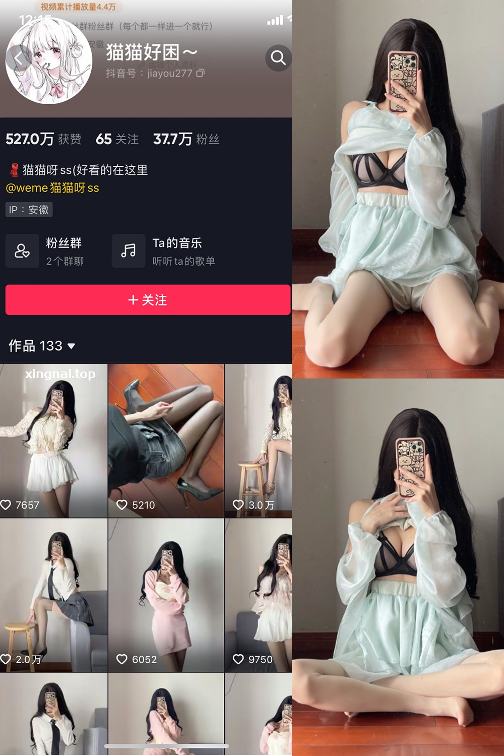 抖音 猫猫好困 微密圈  NO.015期 【18P】