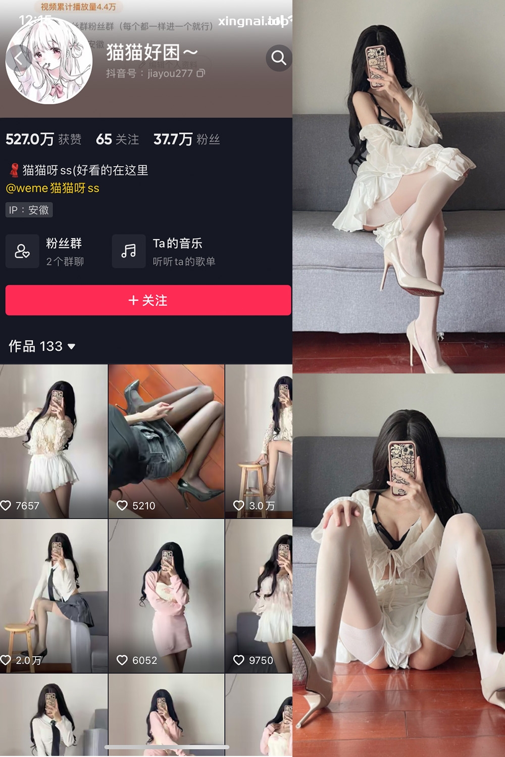 抖音 猫猫好困 微密圈  NO.013期 【13P】