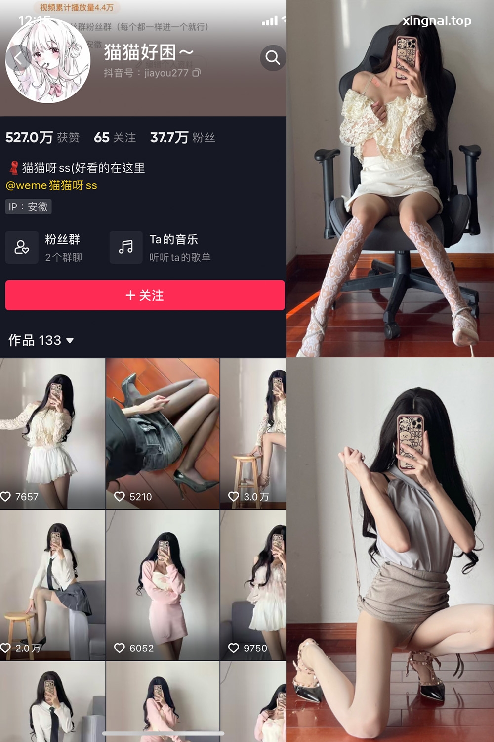 抖音 猫猫好困 微密圈  NO.008期 【24P】