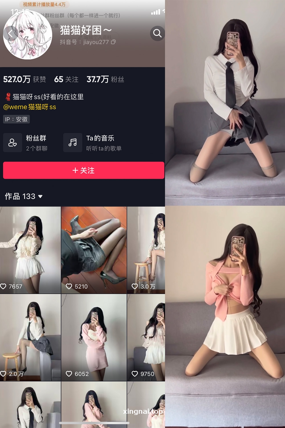 抖音 猫猫好困 微密圈  NO.006期 【24V】