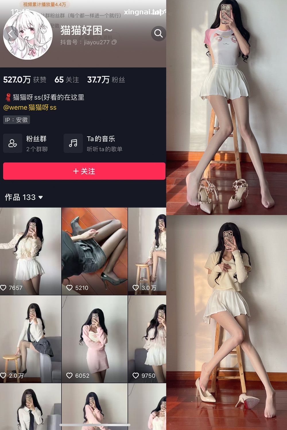 抖音 猫猫好困 微密圈  NO.002期 【36P】