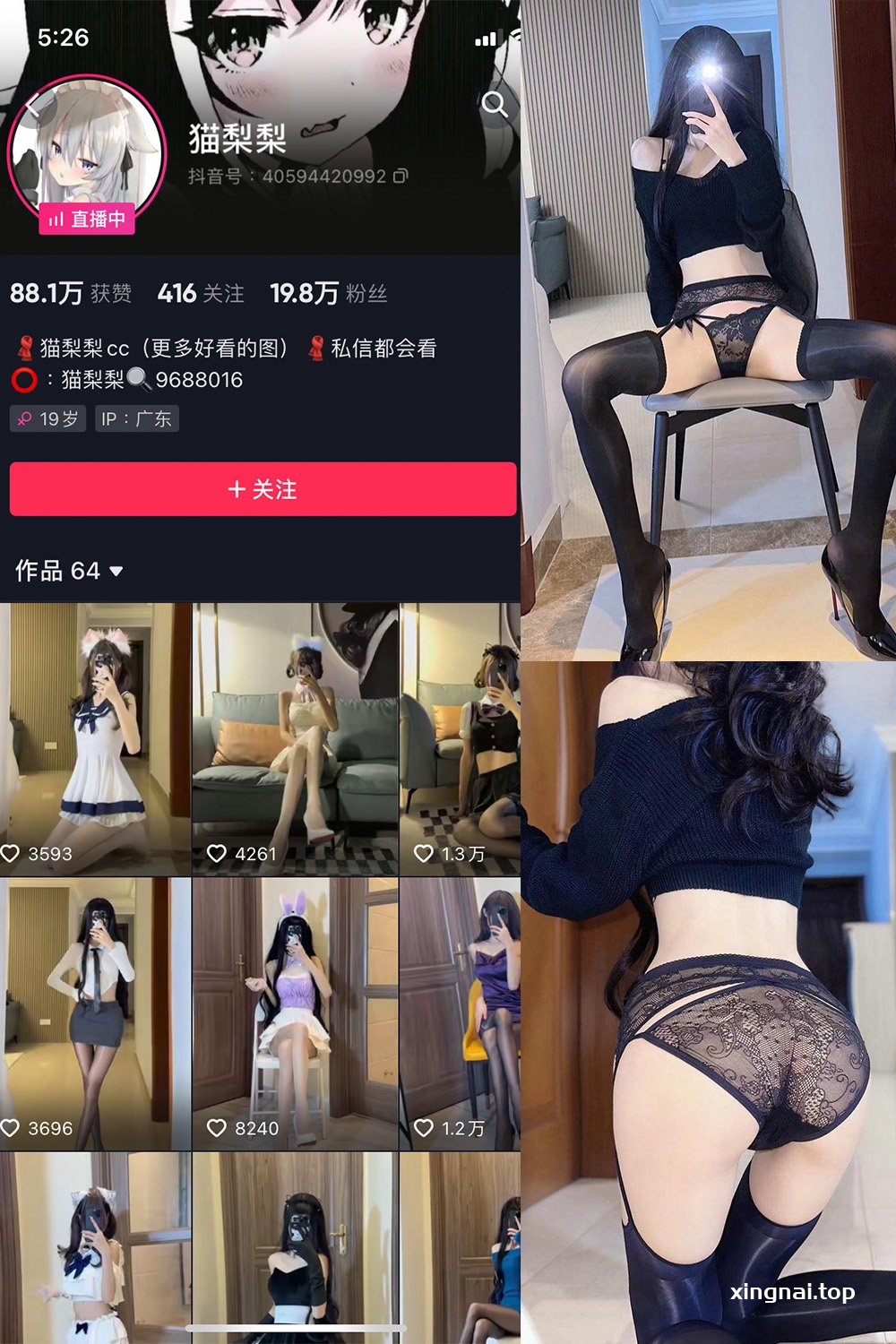 抖音 猫梨梨 微密圈  NO.064期 【54P8V】最新至：2024.8.24