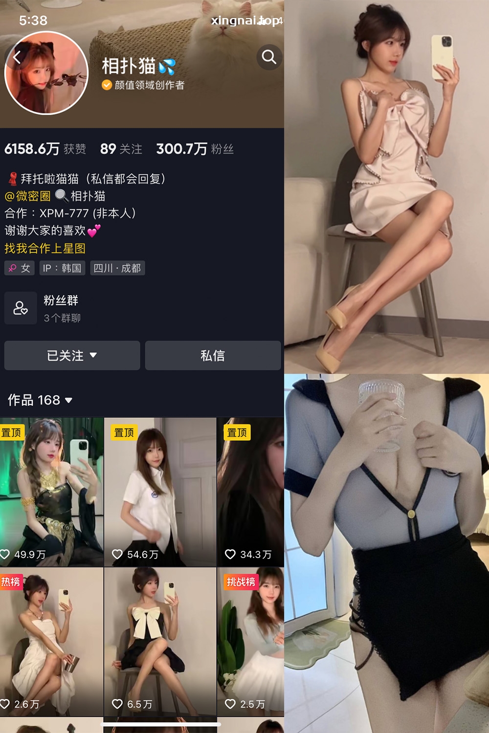 抖音 相扑猫 微密圈  NO.005期 【11P】