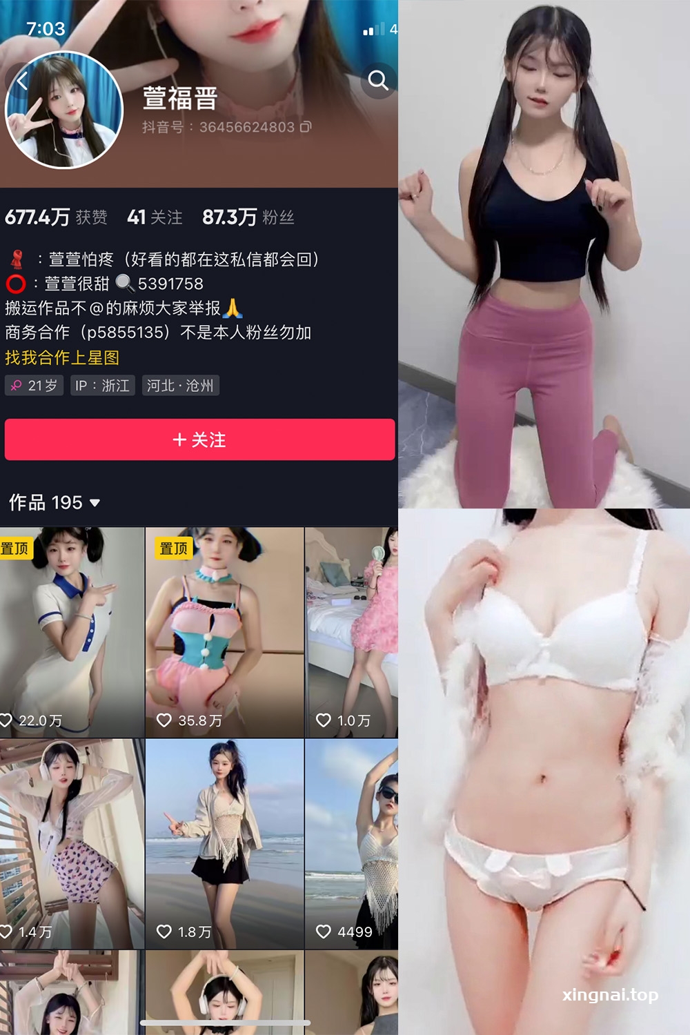 抖音 萱福晋 微密圈  NO.017期 【4P1V】最新至：2023.11.23