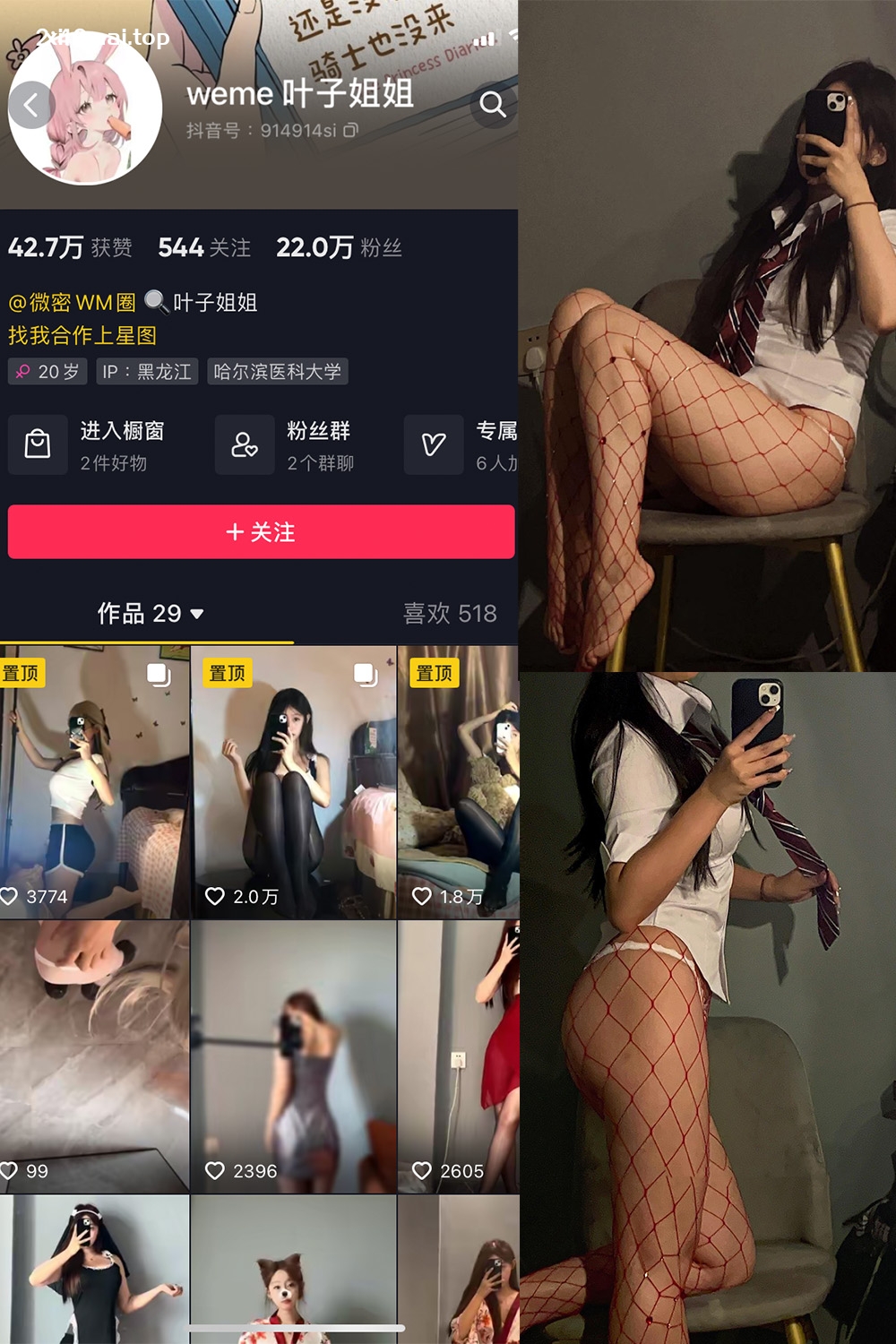 抖音 叶子姐姐 微密圈  NO.013期 【9P2V】最新至：2023.5.28