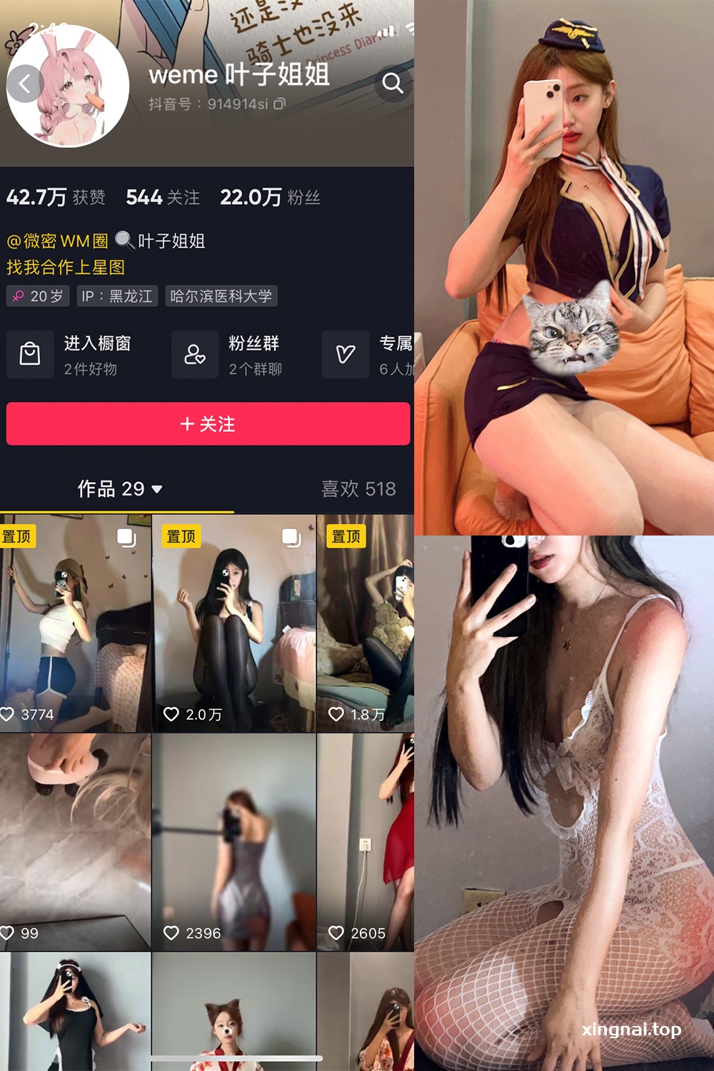 抖音 叶子姐姐 微密圈  NO.005期 【19P9V】