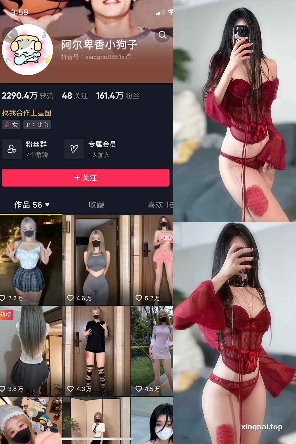 抖音 阿尔卑香小狗子 微密圈  NO.056期 【10P2V】最新至：2024.8.25