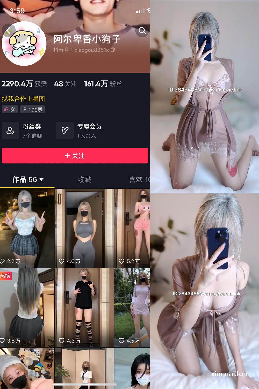 抖音 阿尔卑香小狗子 微密圈  NO.045期 【39P】最新至：2026.6.9