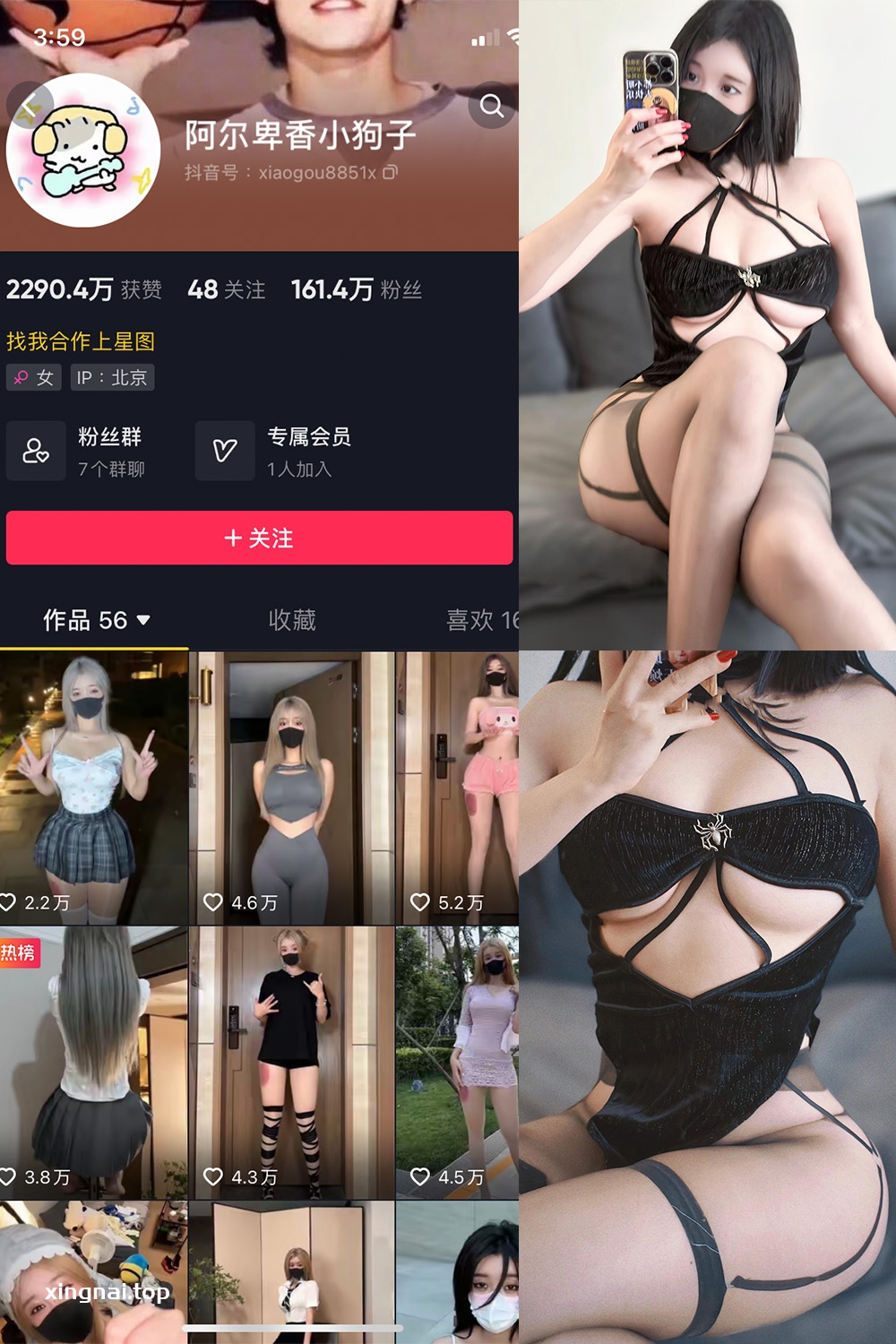 抖音 阿尔卑香小狗子 微密圈  NO.046期 【14P1V】最新至：2024.6.9