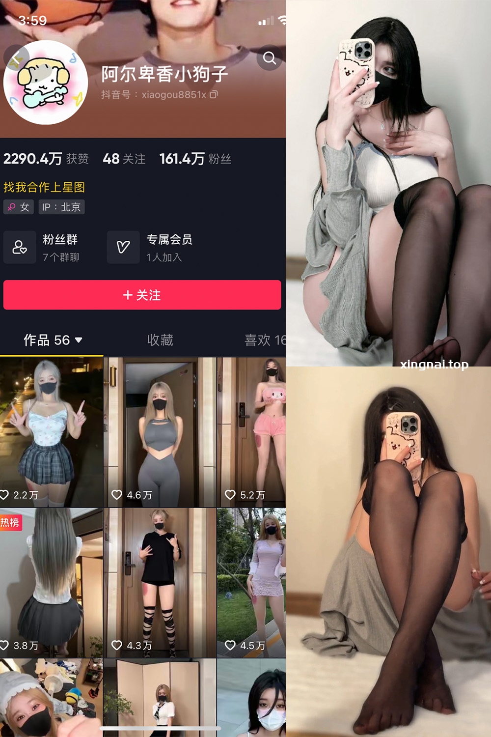 抖音 阿尔卑香小狗子 微密圈  NO.042期 【6P1V】最新至：2024.1.24