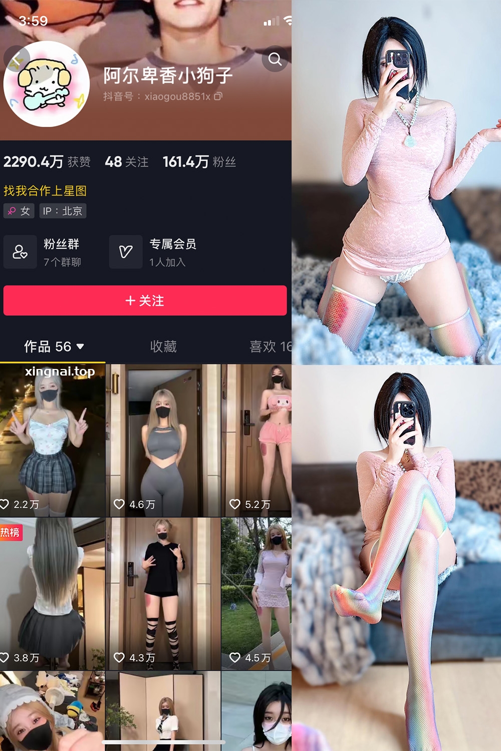 抖音 阿尔卑香小狗子 微密圈  NO.035期 【16P】最新至：2023.10.23