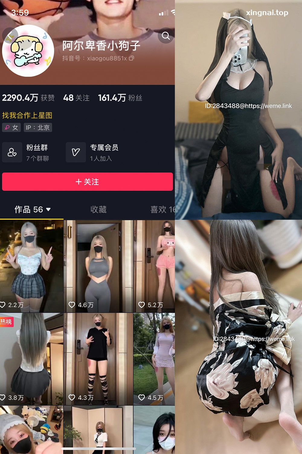 抖音 阿尔卑香小狗子 微密圈  NO.014期 【54P2V】