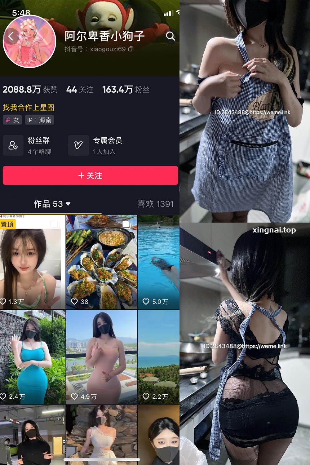 抖音 阿尔卑香小狗子 微密圈  NO.009期 【37P】最新至：2023.6.16