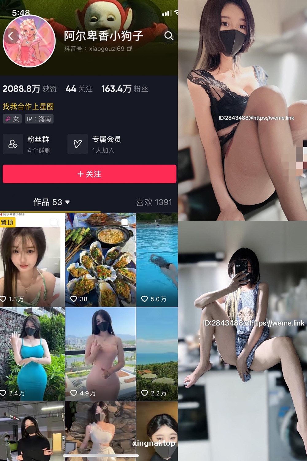 抖音 阿尔卑香小狗子 微密圈  NO.008期 【14P】最新至：2023.6.16