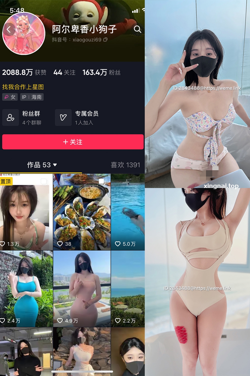 抖音 阿尔卑香小狗子 微密圈  NO.003期 【39P3V】最新至：2023.5.31