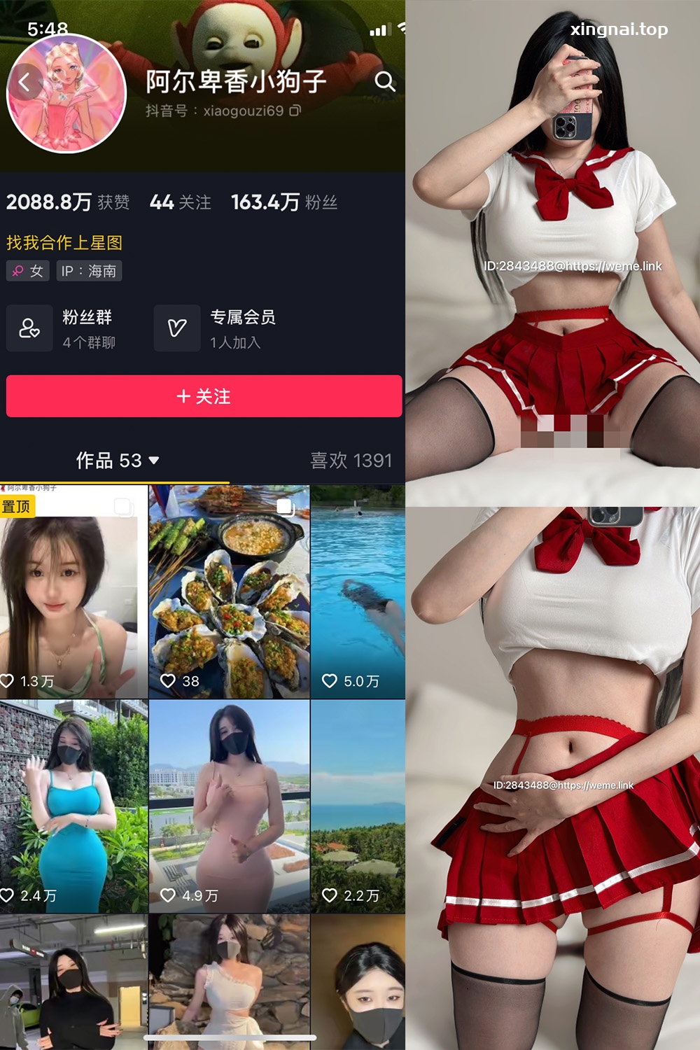 抖音 阿尔卑香小狗子 微密圈  NO.002期 【43P】