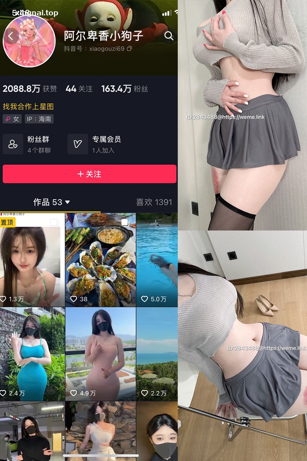 抖音 阿尔卑香小狗子 微密圈  NO.001期 【23P1V】