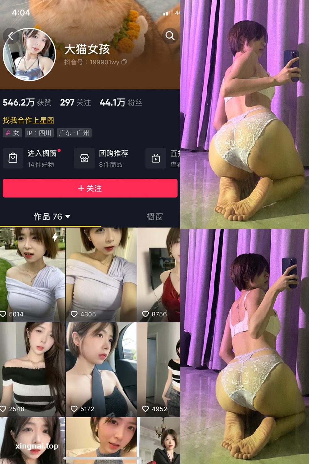 抖音 大猫女孩 微密圈  NO.014期 【5P1V】最新至：2023.8.10