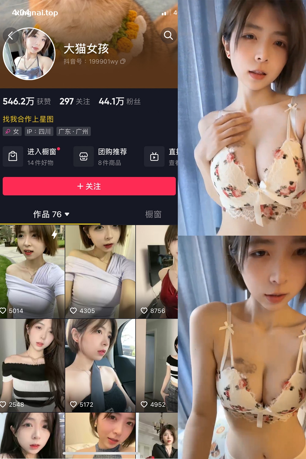 抖音 大猫女孩 微密圈  NO.005期 【36P3V】