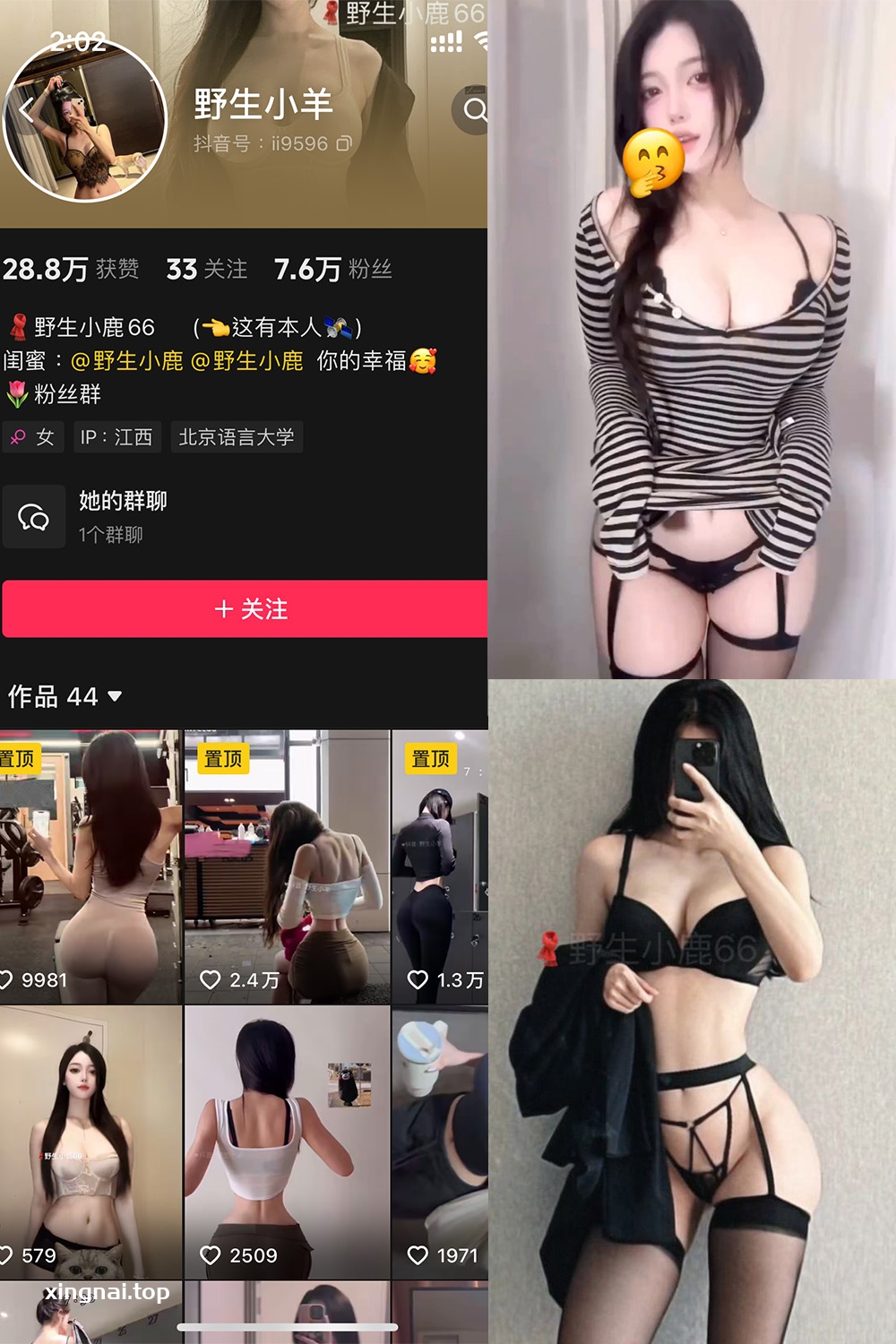 抖音 野生小羊 铁粉空间 NO.006期 【10P3V】最新至：2024.11.19