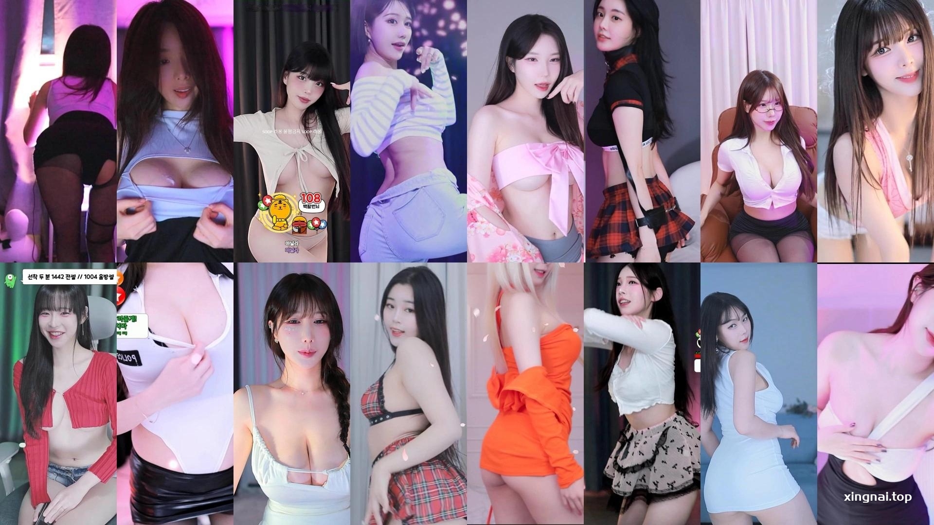 [主播]AfreecaTv韩国BJ 24年12月13日录制舞蹈合集