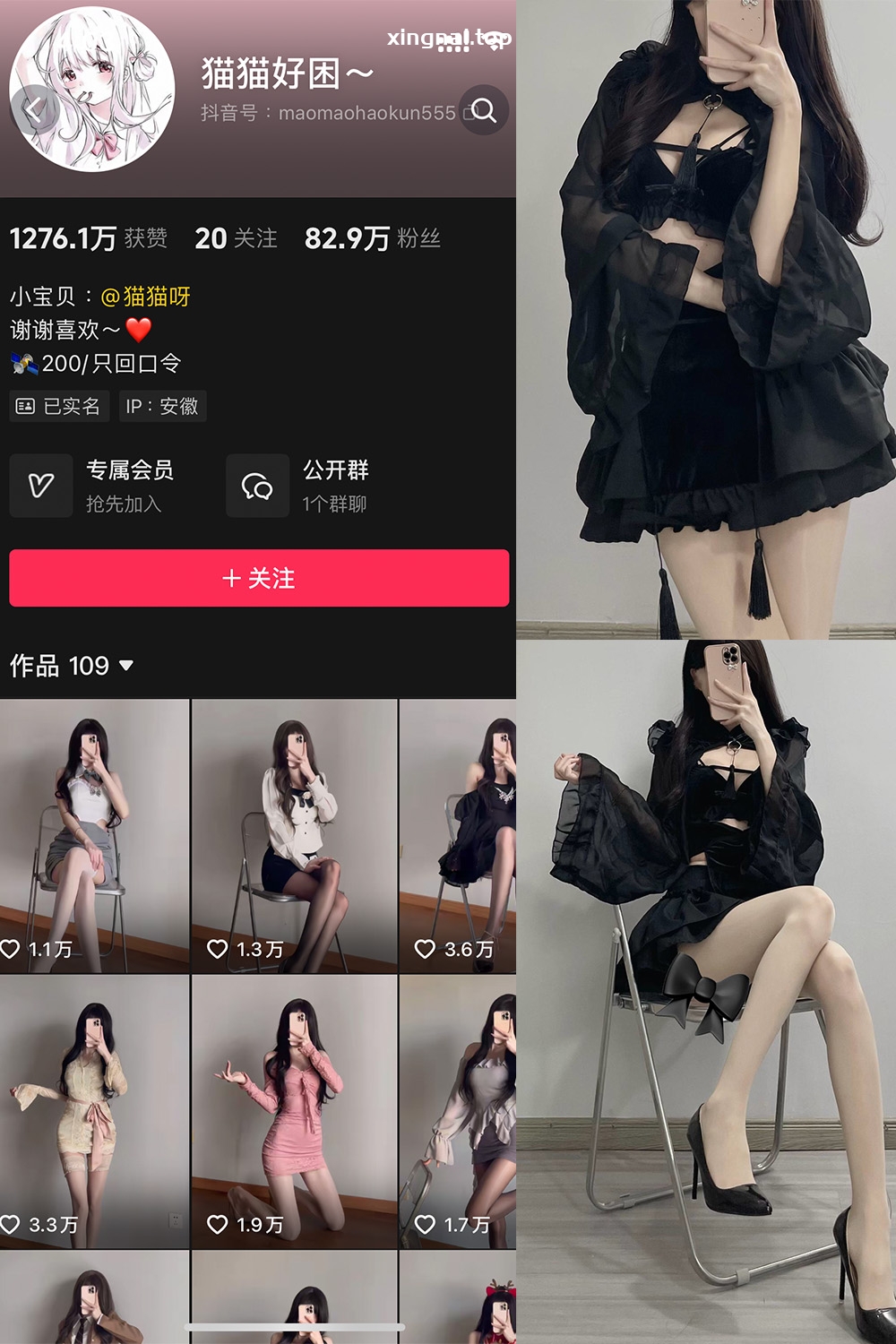 抖音 猫猫好困 微密圈  NO.037期 【39P13V】