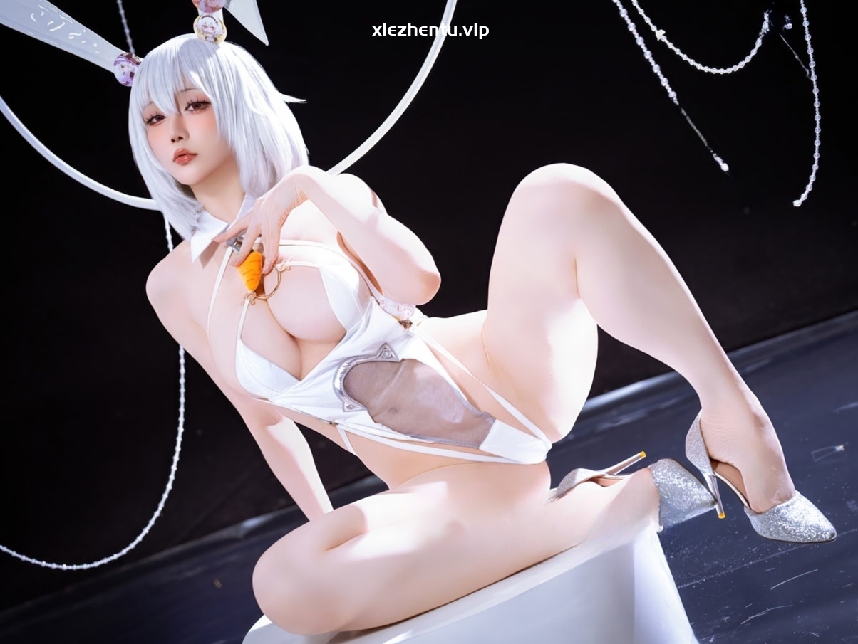 星之迟迟 NO.275 2026年01月计划F 碧蓝航线 天狼星 [58P-347MB]