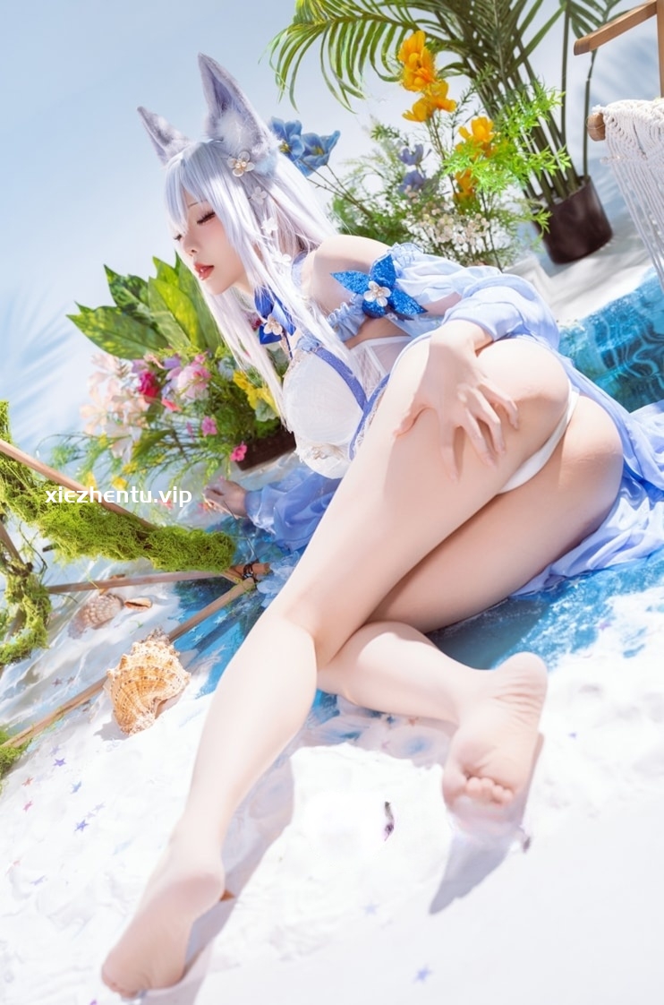 星之迟迟 NO.272 2026年01月计划C 碧蓝航线 信浓泳装 [51P-204MB]